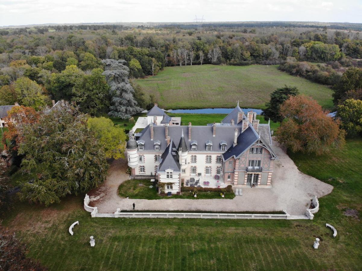 Chateau De La Faye Menetreol-sur-Sauldre Ngoại thất bức ảnh