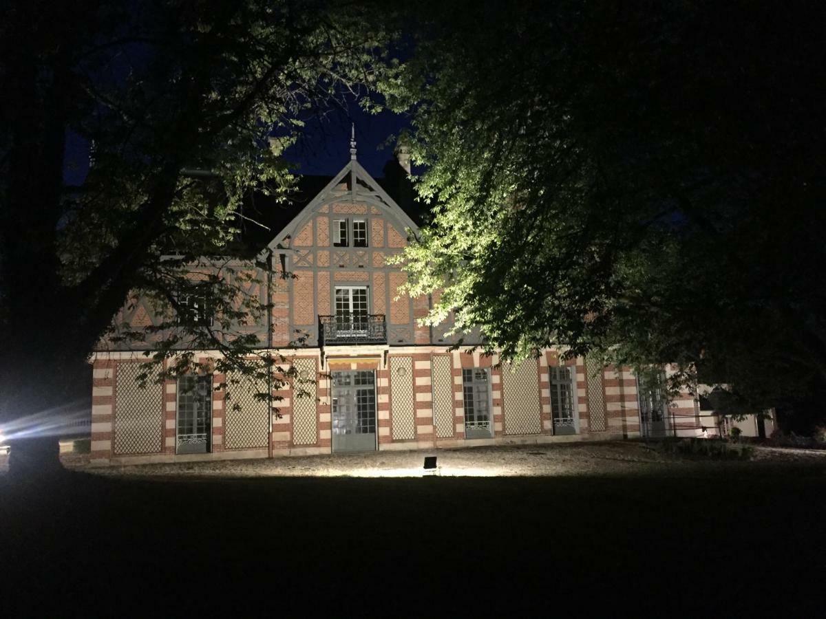 Chateau De La Faye Menetreol-sur-Sauldre Ngoại thất bức ảnh