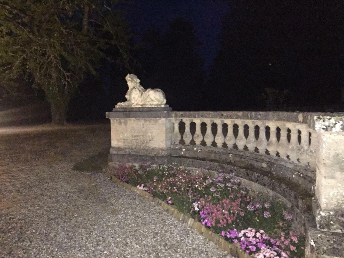 Chateau De La Faye Menetreol-sur-Sauldre Ngoại thất bức ảnh